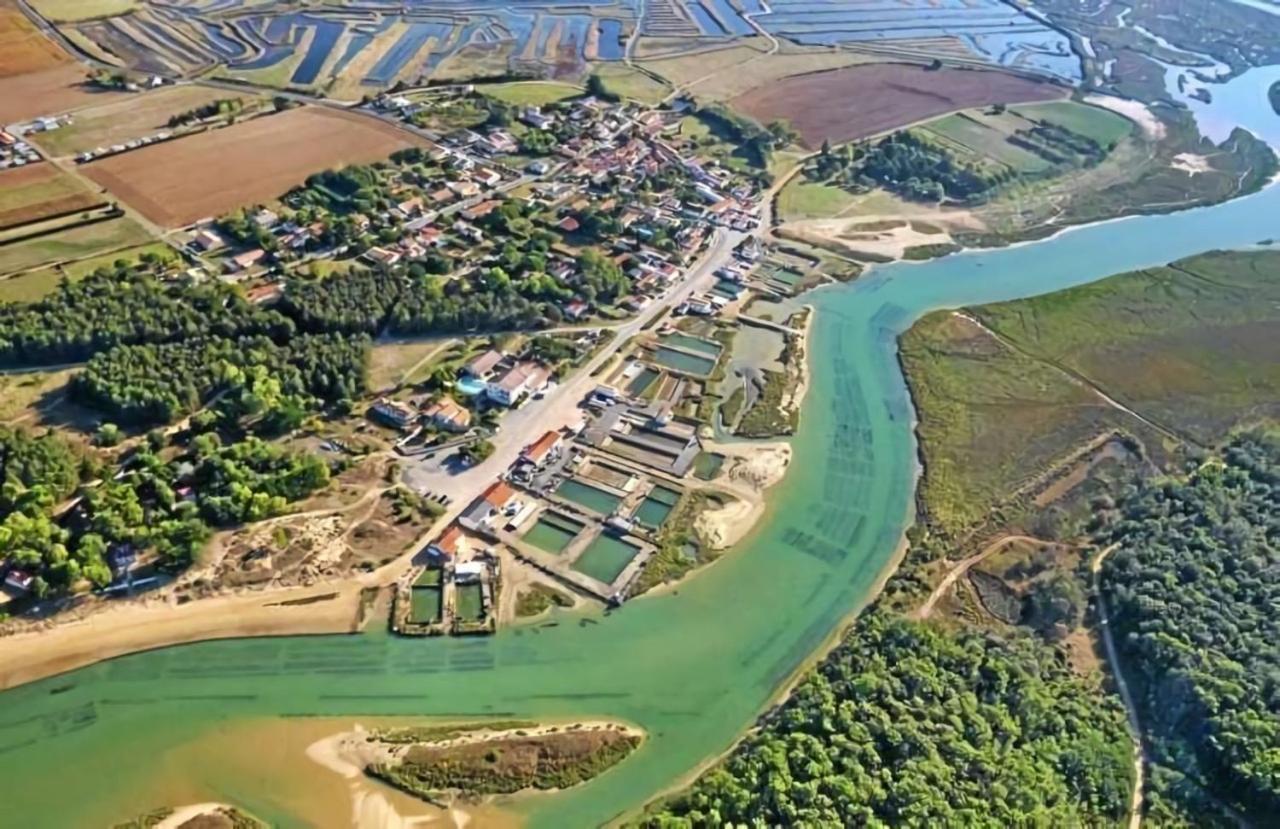 La Maisonnette Du Payre Talmont-Saint-Hilaire Kültér fotó